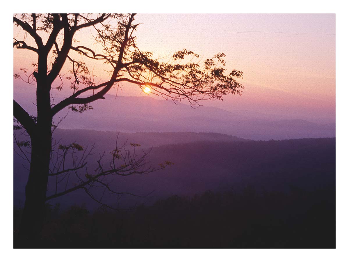 Shenandoah NP